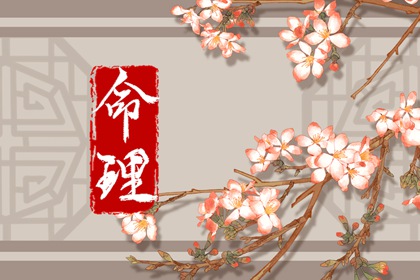 五行划分,推算五行,测算喜用神,五行化阴阳,免费查五行