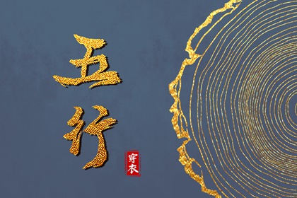 紫微解盘_超准紫微斗数姻缘_紫微黄历八字排盘_紫微运势曲线算命_先天命盘测算_紫微斗数合婚配对